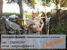 sponsor bosetti