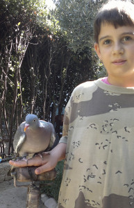 Mia figlia al lavoro con un colombaccio su rullo.