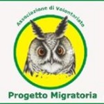 Viale Europa nr. 4 – 58100 Grosseto