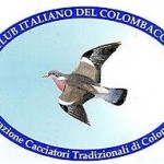 Logo colombaccio