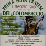 Festa pratese colombaccio