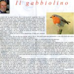 il gabbiolino 1