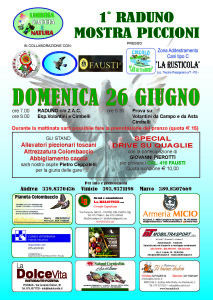 Umbria_1-Raduno-mostra-Piccioni_26giu2016