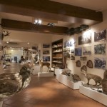 MuseoCaccia_00