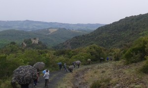 20170506_110331