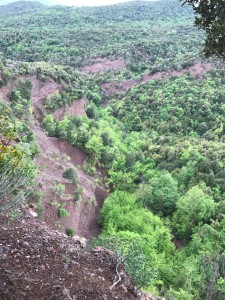 IMG-20170506-WA0204