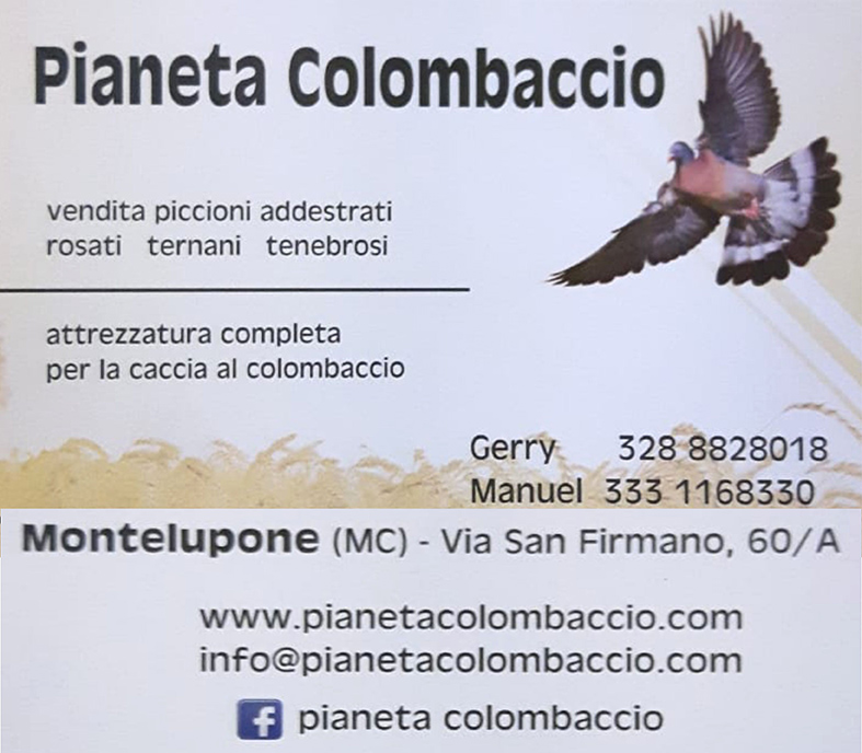 sponsor pianeta colombaccio