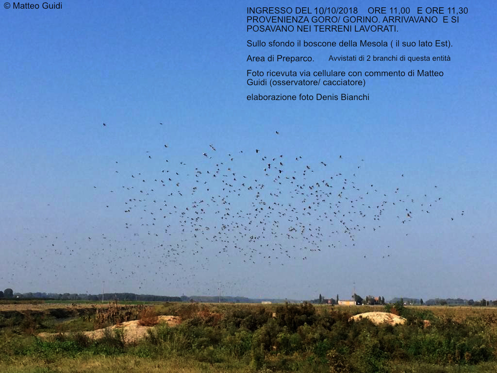 10 ottobre ore 11,00:11,30 provenivano da Goro