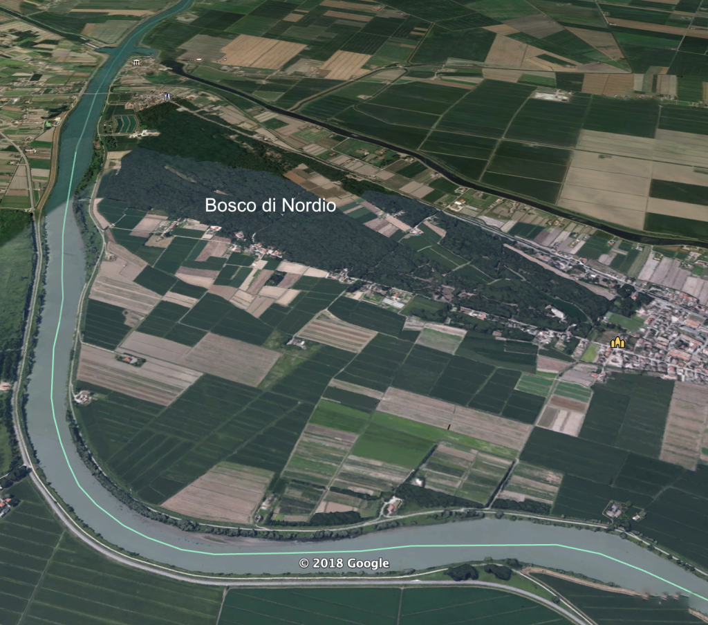 Bosco di Nordio oltre il fiume Adige (Veneto)