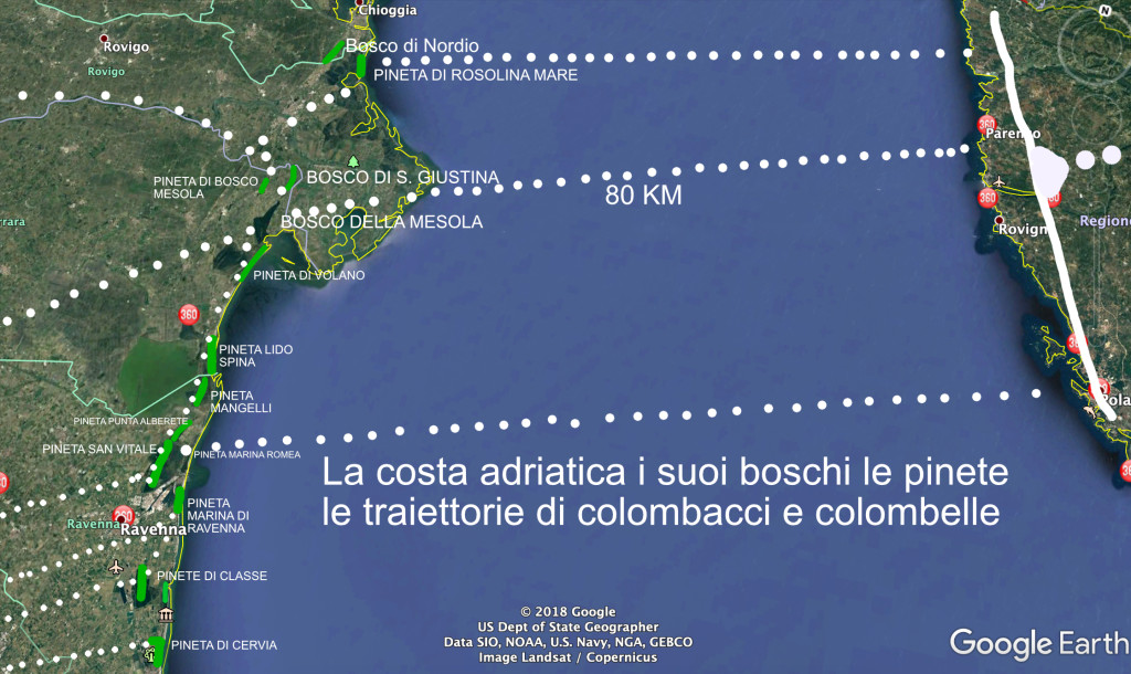 Costa boschi traiettorie