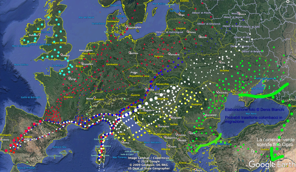 traiettorie migrazione colombaccio sull'Europa