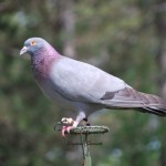 DSC_0042 (FILEminimizer)