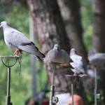DSC_0044 (FILEminimizer)